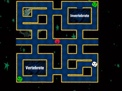 Vertebrates and Invertebrates Maze Chase