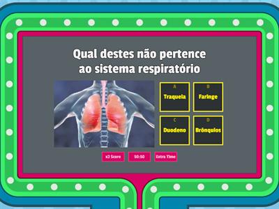 Sistema Respiratório 4 Ano - Recursos De Ensino