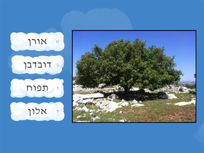 עצים בישראל