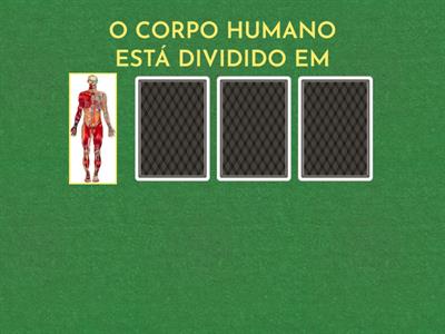 CORPO HUMANO - BNCC EF01CI02/ EF06CI05