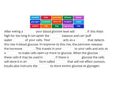 Blood glucose control FOUNDATION