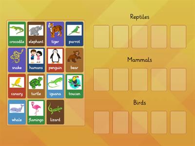 Classifying animals: Reptiles, Mammals or Birds?