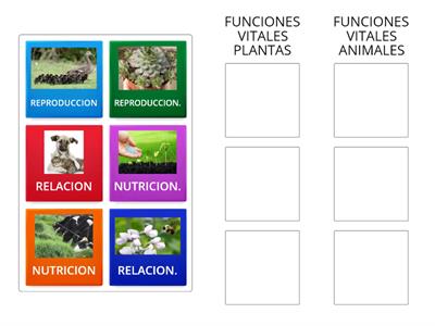 RELACIONES VITALES SERES VIVOS