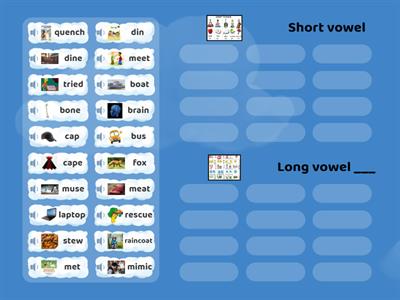 Short or long vowels?