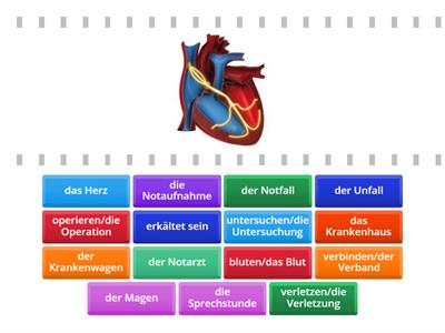  Lektion 8. Menschen A2.1