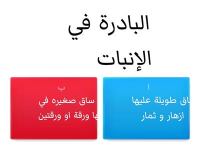 اختر الإجابة الصحيحة