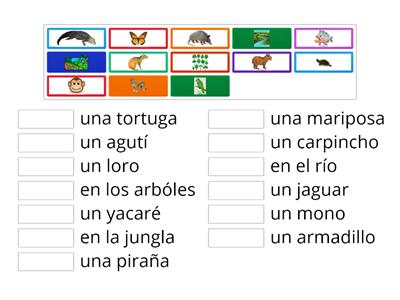 Amazon Animals in Spanish