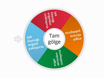 Tam gölge 6. sınıf telafisi (5)