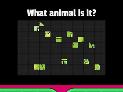 What animal is it? (part 2)