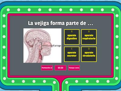 La nutrición y el Aparato Digestivo