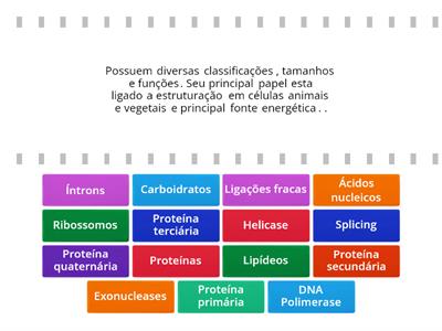 JORNADA DE APRENDIZADO- BCM