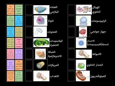 تراكيب الخلايا(أحياء)