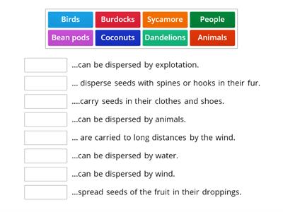 Seed Dispersal