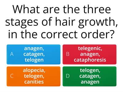 NYS Cosmetology Board Practice 4