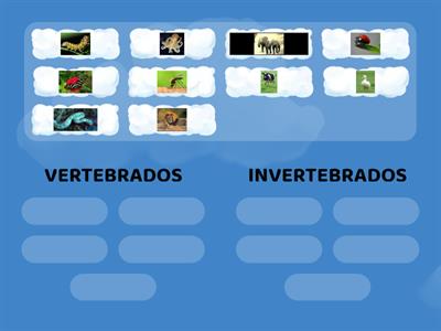  ANIMALES VERTEBRADOS E INVERTEBRADOS