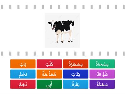  Vocabulaire Arabe
