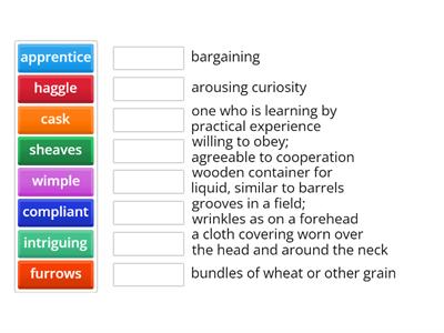 Midwife's Apprentice Vocab. Chapters 1-12