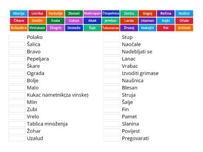 hrvatski standardni jezik