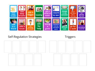 Self-Regulation Strategies and Triggers