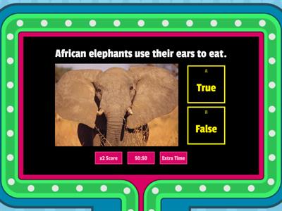 True or False Quiz about Elephants