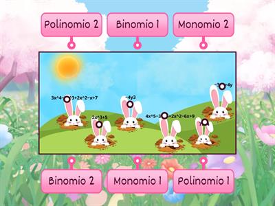 Identifique los polinomios, monomios y binomios