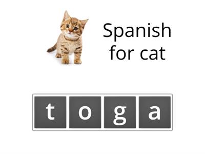 Writing Spanish words