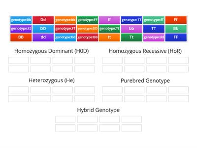 Spongebob Genetics Practice (Part 1)