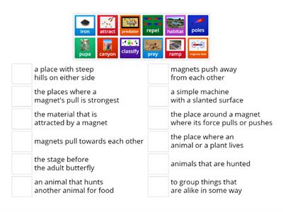 Science Final Review(Science Words)