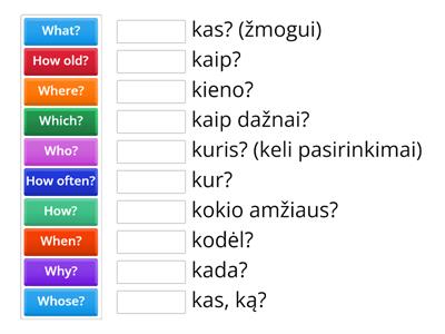 Question words revision