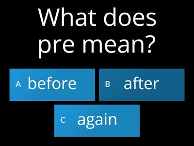 Prefixes 20 Questions