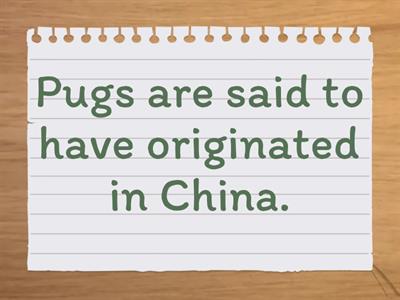 Fact or Opinion: Pugs!