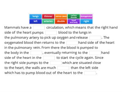 CAX KS5 passage of blood through the heart, basic 