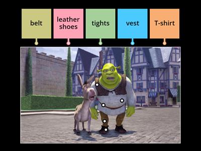 Shrek's outfit