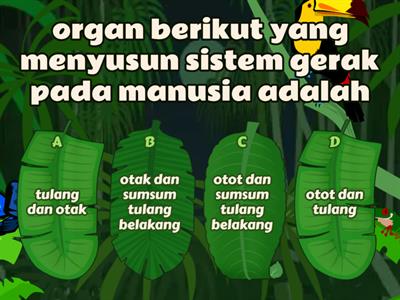 sistem gerak pada manusia 