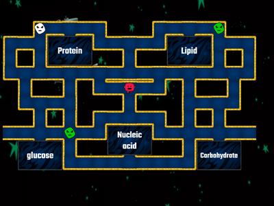 Macromolecules #2