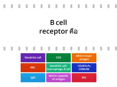 Basic Immunology (Cross talk between innate and adaptive immunity) 