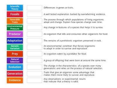 Unit 8 Vocabulary: Evolution