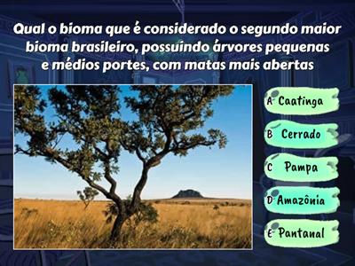 Biomas brasileiros