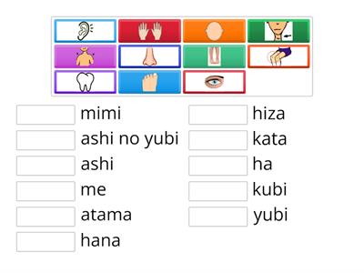Body Parts Matching - Japanese Words