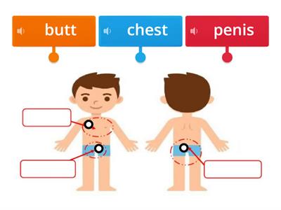 My Private Parts - Boy (3rd Grade - Social Studies)	