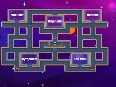 Organelles: Maze Chase