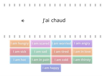 Feelings in French