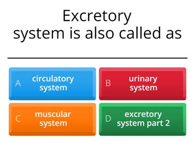 Excretory System 