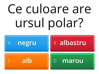 Ursul polar -înțelegerea textului
