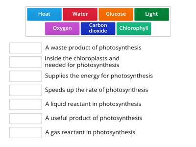 Photosynthesis equation matching exercise