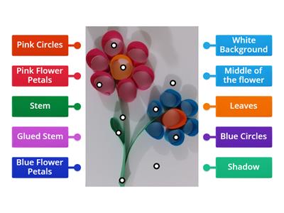 Parts of Arts and Craft Flower