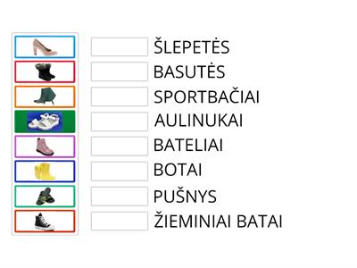 APAVAS. PAVADINIMAS 2 KL.