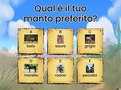 che cavallo dovresti comprare QUIZ