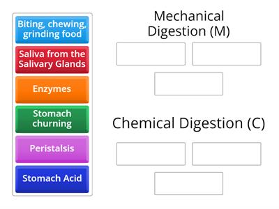 TYPES OF DIGESTION REVIEW: determine if each example is Mechanical or Chemical Digestion