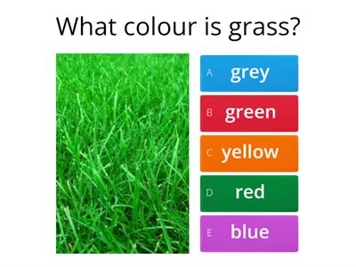 PE Colours quiz - What colour is ...?